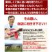 P5�{�@�n�h�� �M�t�g �n�� �F�{ ���Y �M�t�g�X�y�V�����Z�b�g 380g ������ �j���� �y�A�Z�b�g(�L��) �΂��� ���� �v���[���g ���j�� �֘A�摜3