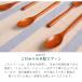 [����] ���X�v�[�� �ؐ����h�� 13.5cm 5�{�Z�b�g �^�e�B�[�E�R�[�q�[�E���[�O���g�E�A�C�X�E�f�U�[�g�p�X�v�[�� TAC-501 [�H�i�q���@�K���i] �֘A�摜1