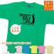 �h�V�̓� �S���t�D�� ������ �s�V���c �v���[���g ���̓� �S���t�@�[ � ��� �S���t��y�� �S���t�� �i�i �j�� �a���� �A�C�e�� �O�b�Y �ʔ��� 1501 1500 085
