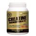 �N���A�`���p�E�_�[ ��T�C�Y 500g GOLD'S GYM_S �S�[���h�W���T�v��