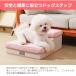�h�b�O�X�e�b�v �s���N �� �K�i ���[�\ ���ݑ� 2�i �\�t�@�[ �y�b�g �X�e�b�v �w���j�A ���^�� ������  �܂��ݎ�  ���S���y�� �P�K�h�~  ��� ������� �֘A�摜2