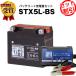  bike battery STX5L-BS YTX5L-BS GTX5L-BS interchangeable profit 2 point set battery + charger ( charger ) super nut total sale number 100 ten thousand piece breakthroug ( fluid go in settled )