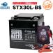�Х��� �Хåƥ꡼ H_STX30L-BS ������ɷ� YIX30L YTX30L-BS SVR12VX30L-B�ߴ� 2�����å� �Хåƥ꡼+��ǵ���Ŵ� �������100�������� �����ѡ��ʥå�(������)