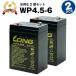  игрушка-"самокат" WP4.5-6[ выгода 2 шт. комплект ]( промышленность для свинец . батарейка ) новый товар LONG продолжительный срок службы * с гарантией . электрический Pocket Bike и т.п. соответствует cycle аккумулятор 