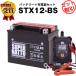  мотоцикл аккумулятор STX12-BS YTX12-BS GTX12-BS FTX12-BS KTX12-BS сменный выгода 2 позиций комплект аккумулятор + звезда . зарядное устройство super гайка ( жидкость входить settled )