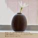 1�֑}�� �ؐ� POCO ���{�� �ԕr ���т� �Ԋ� �t�����[�x�[�X ���킢�� �C���e���A ��֑}�� ���� ���� �V�R�� �i�`������ �j�� �M�t�g �v���[���g �N���X�}�X�@ �֘A�摜2