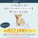 �y�b�g�V�[�c �V�[�g ���� �􂦂� �X�[�p�[���C�h ���^ �唻 �� ���M�����[ �g�C���V�[�g �}�b�g �� �L �I�X �֘A�摜5