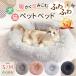  pet bed mat dome type cushion dog for cat for ... for summer winter pet sofa bed small size dog slip prevention stylish warm soft sleeping bag . floor 