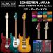  SCHECTER JAPAN / SCHECTER EX-22-CTM-FRT 4A Grade FD System | ѥ EX꡼ EX22  եɥ FDƥ