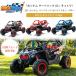 / ваш заказ /BigToysDirect 24V can namma- Berik X3 ride on Buggy 4WD premium BRP одобрено с дистанционным пультом электрический игрушка-"самокат" 2 посадочных мест 