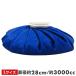 �싅 �A�C�V���O �X�X �~�Y�m S�T�C�Y ���a��15cm M�T�C�Y ���a��23cm L�T�C�Y ���a��28cm �A�C�X�o�b�O �X�|�[�c 1GJYA32500 1GJYA32600 1GJYA32700 �֘A�摜1