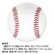 �싅 �T�C���{�[�� �d�����f�U�C�� 1�_�[�X(12��)���� ��ς� ���� ���c �L�O�i �L�O�O�b�Y �񂹏��� �T�C���p �T�C���� ���j�� BBCH �֘A�摜1