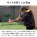 �싅 �C���t�B�j�e�B�o�b�g�E�~�j �ؐ��o�b�g 63cm 750g���� �| �g�X�E�e�B�[�Ō��̂� �g���[�j���O�o�b�g �f�U�� ����g�� ����� 8/28�����\�� �\��̔� �֘A�摜5