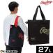  бейсбол low кольцо sRawlings сумка брезент большая сумка 27L 2025 год поздняя версия NEW модель EBP15F03 большая сумка 