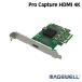 Magewell[Pro Capture HDMI 4K]1 канал HDMI 4K колпак коричневый карта meiji well стандартный товар ( возвращенние товара не возможно )