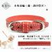  necklace cat * microminiature dog original leather width 12mm red color neck around 18~24cm correspondence size adjustment possible over . belt cease attached high class cow leather name inserting equipped 