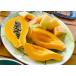  фрукты папайя папайя плоды Okinawa производство примерно 1.5 kilo бесплатная доставка по всей стране 