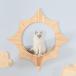  кошка кошка подножка кошка walk стена установка орнамент MYZOO мой Zoo Solar кошка подножка BVN-002