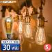 5�Z�b�g LED�d�� E26 30W ���� �Z���d���F �t�B�������g �N���A�[ �d�� �G�W�\�� ���g�� �k�� LDST4H-FD-BT-G �r�[���e�b�N