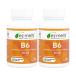 EzMelts витамин B6 50mg 60 таблеток 2 шт Vitamin B6 Be gun vi - gun на день указание не возможно 