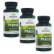 s one son мака 500mg 100 Capsule 3 шт. комплект Swanson Maca на день указание не возможно 