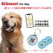 s Cami -Scamee! for dog наклейка 3 листов + подвеска 1 шт. комплект I one Chan поэтому. данные складывание type QR идентификационная бирка 