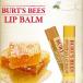 バーツビーズ リップバームスティック #ビーズワックス #ハニー 4.25g Burt's Bees 送料無料 ゆうメール 代引は送料400円追加