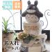 ���ނP�[�L �ƂȂ�̃g�g�� ������g�[�g �j�̎q ���̎q 2�i ������ �o�Y�j�� �l�C �L�����N�^�[ ������� �I���c�P�[�L ��������