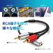 VISION �ϊ��P�[�u�� 3.5mm �X�e���I�~�j ���X to RAC�v���O PC �X�}�z �X�s�[�J�[ �A���v �~�j�v���O �W���b�N �A�_�v�^ �I�[�f�B�I 3�� 491032 �֘A�摜2