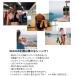 Klitch �N���b�` KLSPT �V���[�Y�N���b�v �C �����^�� �X�|�[�c �A�E�g�h�A ���� �ʊw �ʋ� �u���b�N �u���[ �O���[�� ���b�h �C�G���[ �֘A�摜2