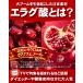 �G���O�_ �T�v���i��6������/360���j�_�C�G�b�g�T�v�������g  �U�N���R���̃G���O�_ ���z�� ��e�� �֘A�摜2