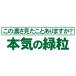 �݂ǂ�ނ��T�v�� ���[�O���i �T�v�������g�@���6�������i360���j�y���[���֑��������z �֘A�摜4