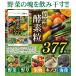 �y�f �T�v�� �i��e�ʖ�6������/360���j�T�v�������g �쑐�y�f ��������  �y�f��377 ���� �������� �_�C�G�b�g �֘A�摜3