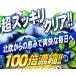 �r���x���[ �T�v�������g ���e�C���i��e�ʖ�6������/180���j�u���[�x���[�y���[���֑��������z�T�v�� �k���Y �֘A�摜1
