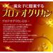 �v���e�I�O���J�� �T�v�� �T�v�������g ��6������/360�� �v���Z���^ �q�A�������_ �^�u���b�g �֘A�摜4