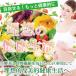 �y�f �T�v�� �T�v�������g �H���@�� ���� �쑐 400�� ��e�� ��U������ �A�����y�G�L�X ���� �֘A�摜1