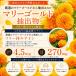 �u���[�x���[ �T�v�� �J�V�X ���e�C�� �r���x���[ �|���t�F�m�[�� ��P������ �A���g�V�A�j�� �A�C�u���C�g ���{�� �֘A�摜3
