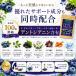 �u���[�x���[ �T�v�� �J�V�X ���e�C�� �r���x���[ �|���t�F�m�[�� ��P������ �A���g�V�A�j�� �A�C�u���C�g ���{�� �֘A�摜4