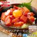 tas любитель salmon .. фарфоровая пиала 10 еда минут (100g×10) | шт упаковка небольшое количество . salmon фарфоровая пиала морепродукты фарфоровая пиала sashimi для .. простой кулинария большая вместимость ваш заказ гурман 