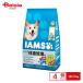 ma-s Japan I ms. собака масса управление chi gold средний шарик 2.6kg ×4 шт 
