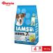 ma-s Japan I ms7 лет и больше масса управление chi gold маленький шарик 2.6kg ×4 шт 