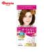 ダリヤ サロンドプロ 無香料ヘアカラー 早染め乳液 白髪用 1 かなり明るいライトブラウン 1セット