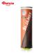  Dunlop St. James 4 штук входит 1 жестяная банка STJJ4TIN | теннис мяч бейсбол теннис St. James тренировка лампочка легализация лампочка давление мяч 