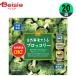  freezing vegetable Fujitsu quotient Bay sia nature .. is possible broccoli 250g×20 piece broccoli side dish bulk buying business use freezing 