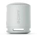 sony динамик Sony Bluetooth беспроводной портативный SRS-XB100 HC светло-серый 