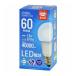 LED�ŵ� E26 60������ ����� ������ LDA8D-G AG6