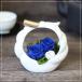 �v���U�[�u�h�t�����[ ���T�N�� �� �� �M�t�g �v���[���g �a�� �t�����[�A�����W�����g ���j��