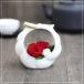 �v���U�[�u�h�t�����[ ���T�N�� �� �� �M�t�g �v���[���g �a�� �t�����[�A�����W�����g ���j��
