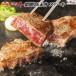 【福袋2019】※予約商品 近江牛 ギフト(A5・A4ランク) ステーキ 食べ比べ 霜降り&赤身 ギフトセット 【送料無料】近江牛 ステーキ ギフト サーロイン モモ
