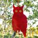 PVC долговечность модный легкий в использовании удобный практический компактный новый жизнь подарок advanced популярный рекомендация высокая прочность compact место хранения удобный living высокое качество 